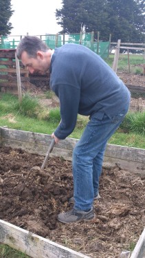 Getting the spuds in